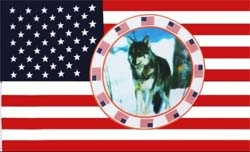 USA mit Wolf Flagge 90x150 cm