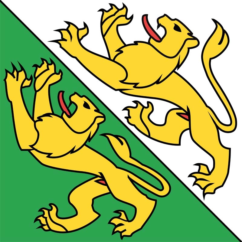 Thurgau Flagge 90x90 cm 1B Ware Abverkauf