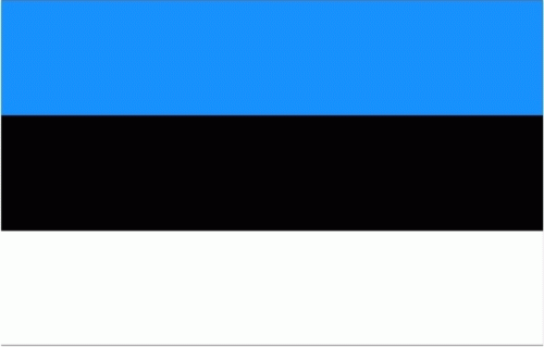 Estland Flagge 90x150 cm Sturmflaggen
