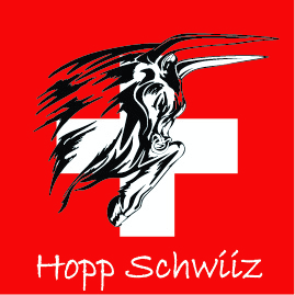 Hopp Schwiiz 3 Flagge 120x120 cm