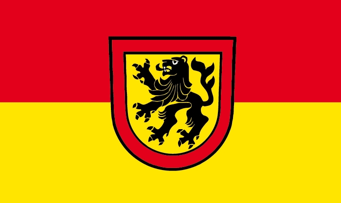 Rheinau (Baden) Flagge 90x150 cm (DE)