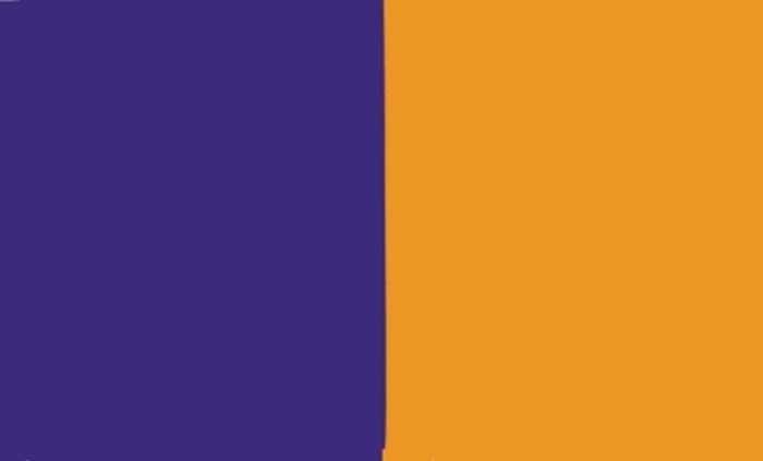 Wexford Flagge 90x150 cm