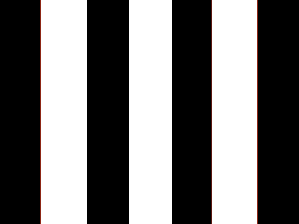 Schwarz-Weiß senkrecht Streifen Flagge 60x90 cm