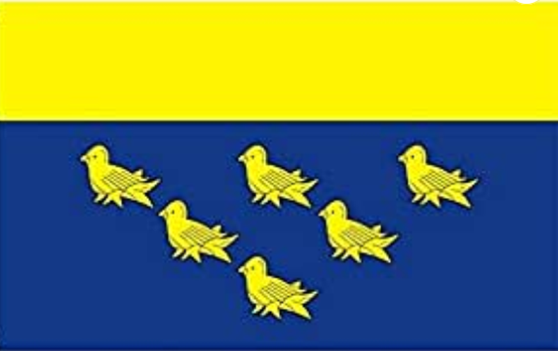 West Sussex Flagge 90x150 cm