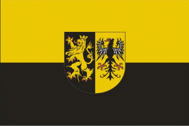 Vogtland Flagge 90x150 cm (E)