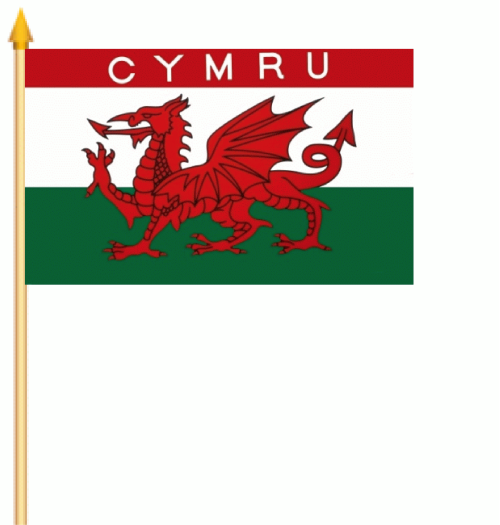 CYMRU Stockflagge 30x45 cm