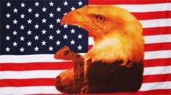 USA Eagle with tear Flagge 90x150 cm Abverkauf