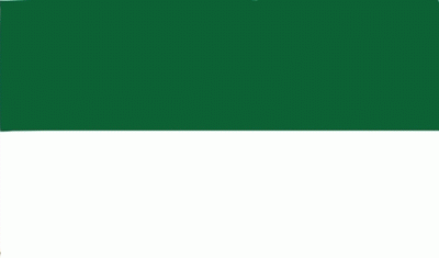 Schützenfest grün-weiß Bootsflagge 30x45 cm