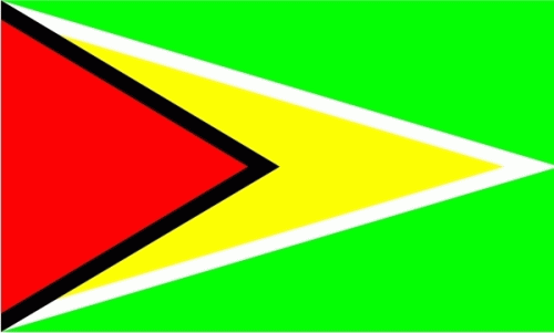 Guyana Flagge 60x90 cm
