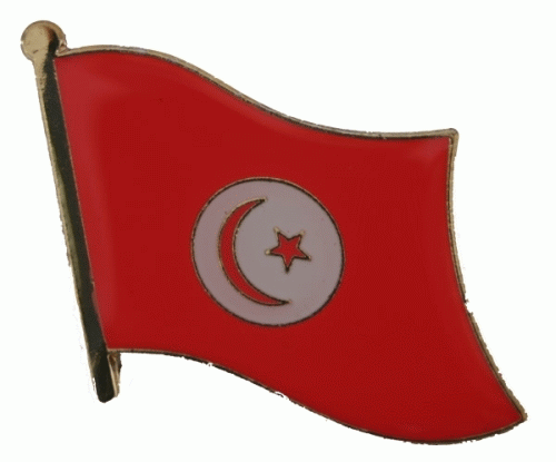 Tunesien Pin