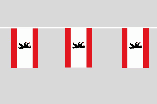 AZ FLAG Quebec Fahnenkette - 4 Meter Girlande Mit 20 Flaggen 15x10cm