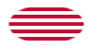 Sons of Liberty (USA um 1765, 13 Streifen)-Flagge als ovale Vignette