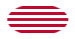 Sons of Liberty (USA um 1765, 13 Streifen)-Flagge als ovale Vignette