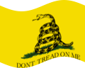 Wehende Gadsden (USA um 1775)-Flagge statisch