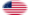 Great Star (USA 1818-1819)-Flagge als ovale Vignette