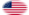 USA 37 Sterne (1867-1877)-Flagge als ovale Vignette