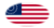 USA 37 Sterne (1867-1877)-Flagge als ovale Vignette