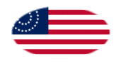 USA 37 Sterne (1867-1877)-Flagge als ovale Vignette