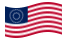 USA 37 Sterne (1867-1877)-Flagge wehend