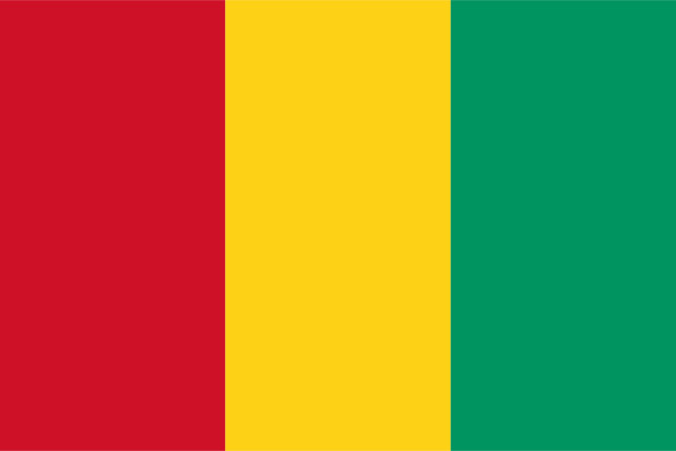 Flagge Guinea