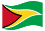 Animierte Flagge Guyana