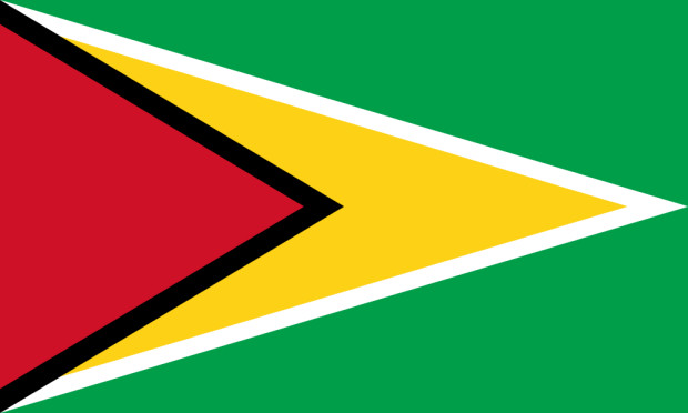 Flagge Guyana