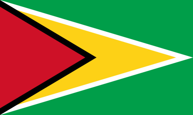 Flagge Guyana