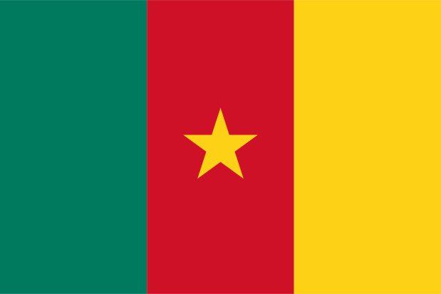 Flagge Kamerun