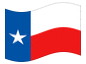 Animierte Flagge Texas