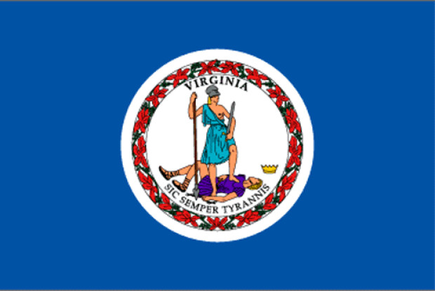 Fahne Virginia
