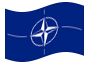 Animierte Flagge NATO (North Atlantic Treaty Organization)