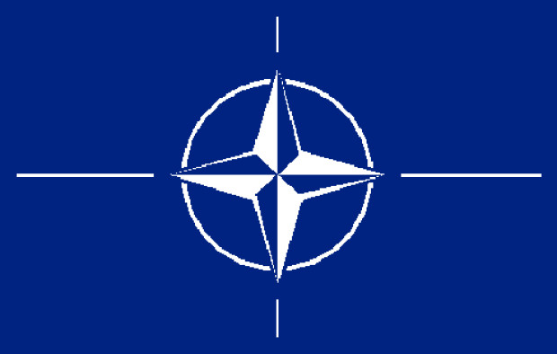 Fahne NATO (North Atlantic Treaty Organization)