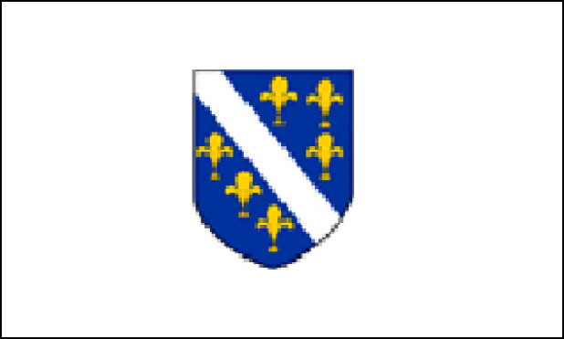 Flagge Bosnien-Herzegowina (1992), Fahne Bosnien-Herzegowina (1992)