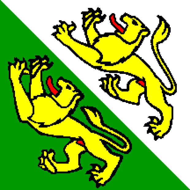 Flagge Thurgau, Fahne Thurgau