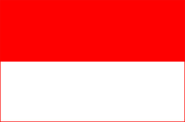Flagge Salzburg (Bundesland), Fahne Salzburg (Bundesland)