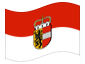Animierte Flagge Salzburg (Dienstflagge)