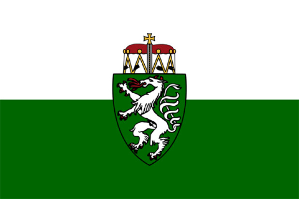 Fahne Steiermark (Dienstflagge)