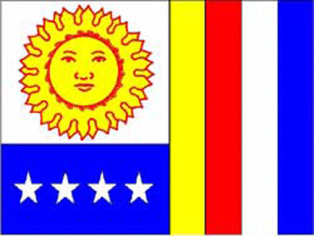Flagge Vargas, Fahne Vargas