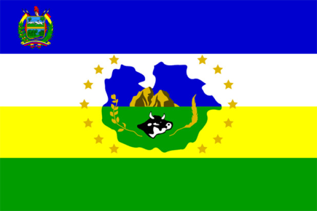 Flagge Guárico, Fahne Guárico