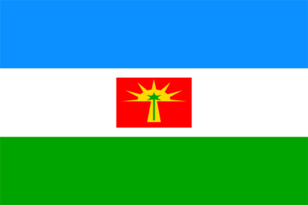 Flagge Barinas