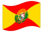 Animierte Flagge Aragua