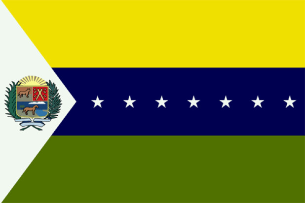 Flagge Apure