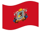 Animierte Flagge Caracas