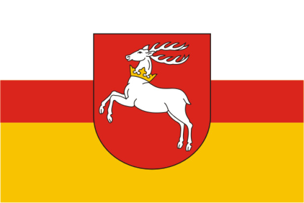 Flagge Lublin (Lubelskie)