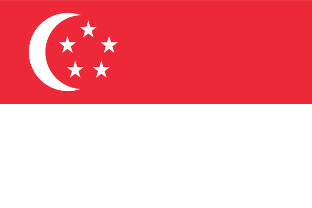 Fahne Singapur