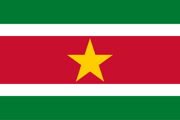 Fahne Suriname