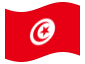 Animierte Flagge Tunesien