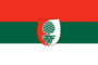 Flaggengrafiken Augsburg